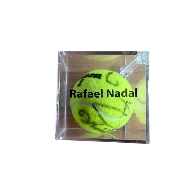 cover of the auction item