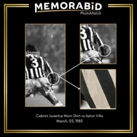 cover image of the auction item