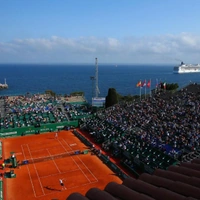 cover image of the auction item