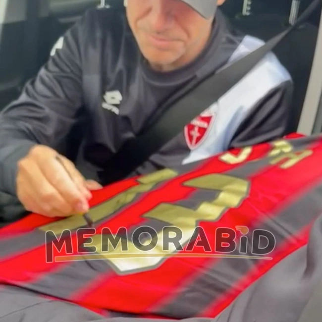 cover image of the auction item