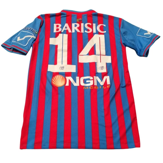 cover image of the auction item