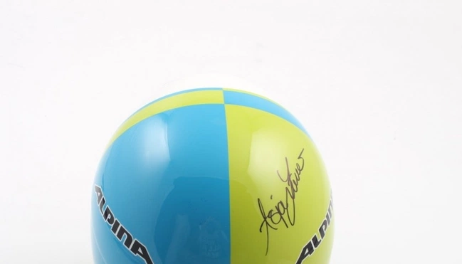 cover image of the auction item