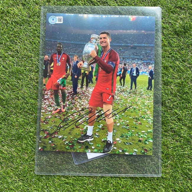 cover image of the auction item