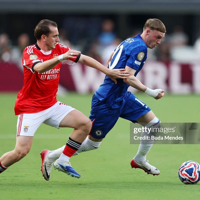 cover image of the auction item