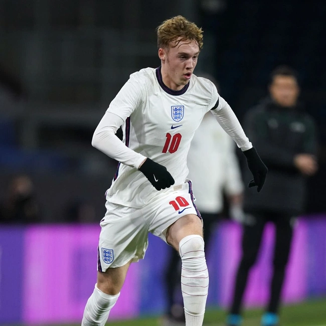 cover image of the auction item