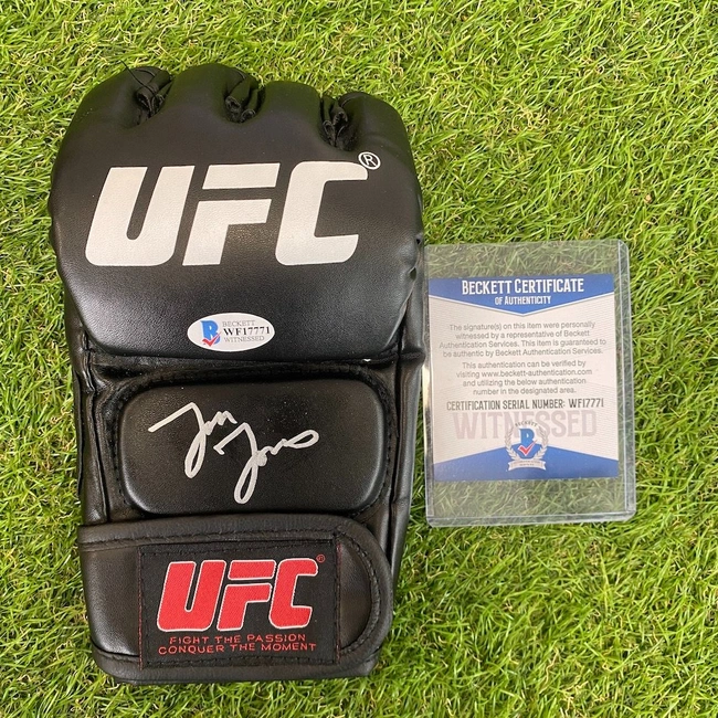 cover image of the auction item