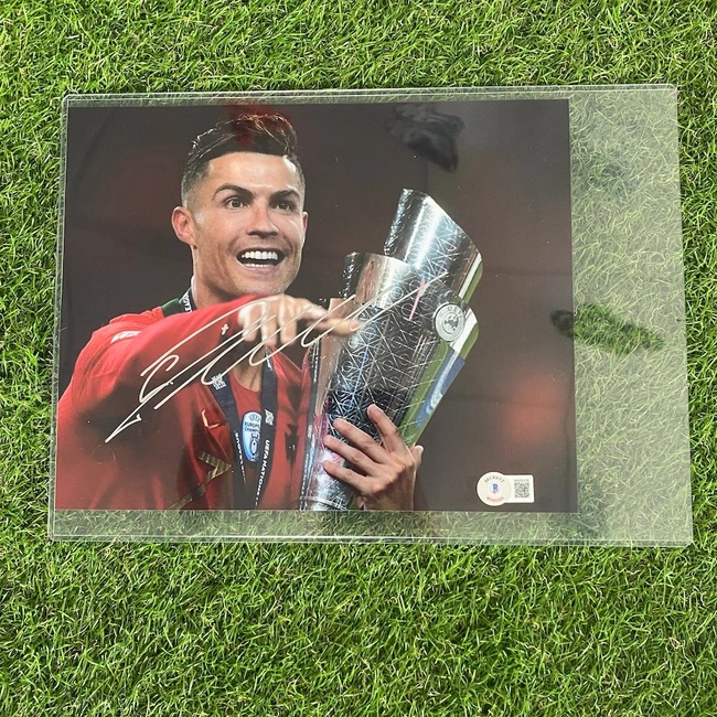 cover image of the auction item