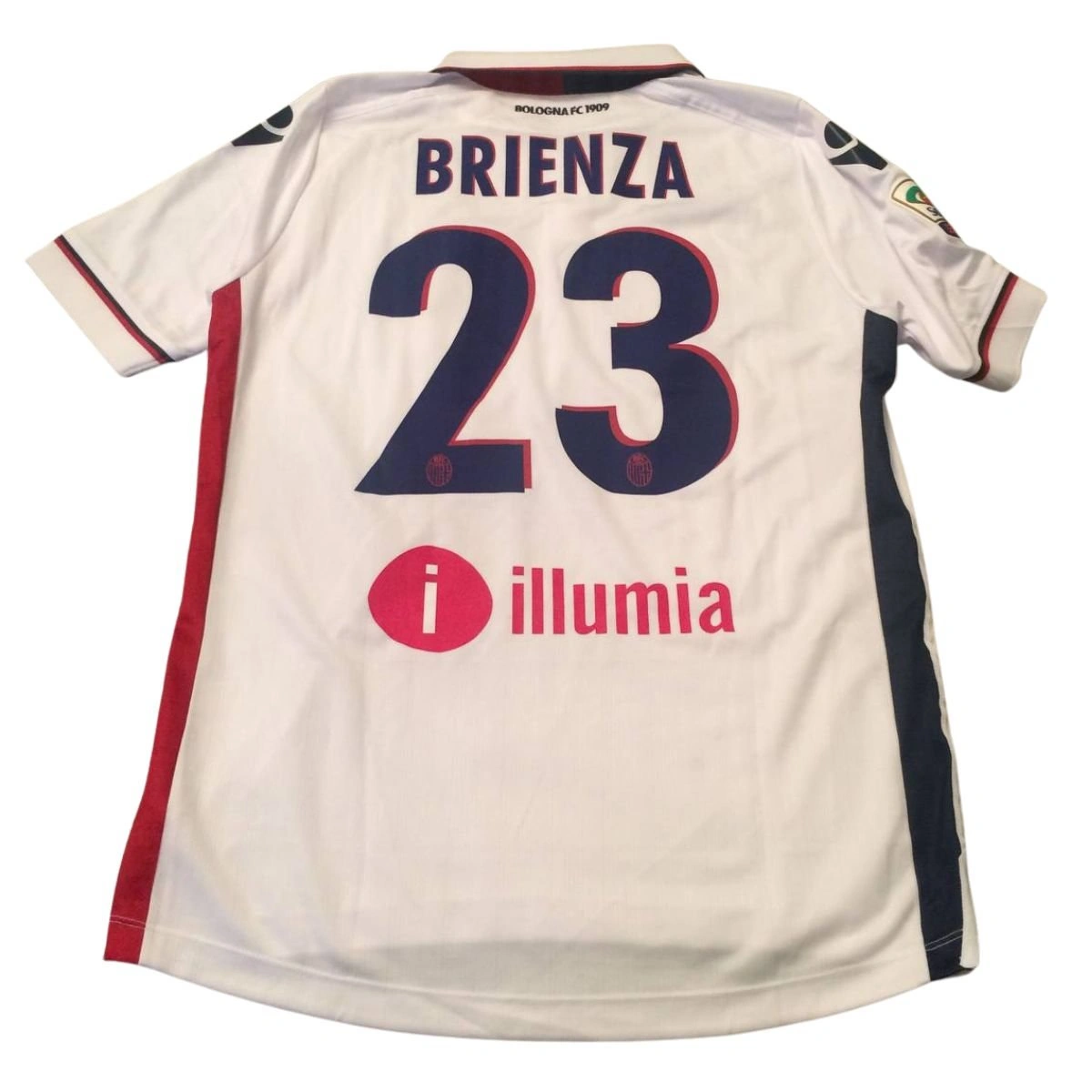 cover image of the auction item