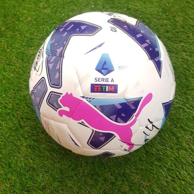 cover of the auction item