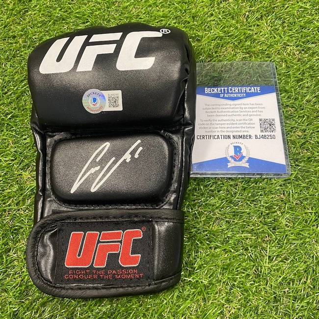 cover image of the auction item