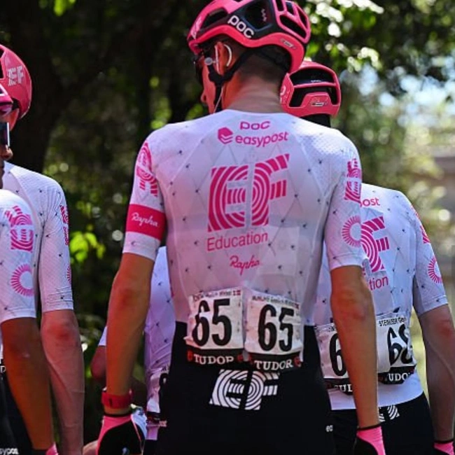 cover of the auction item