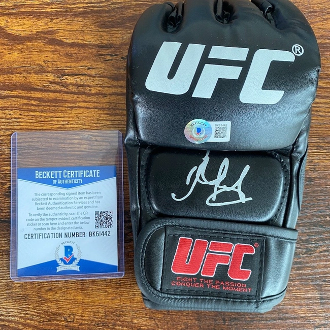 cover image of the auction item