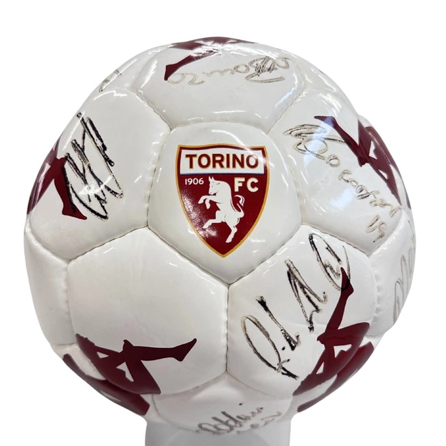 cover of the auction item