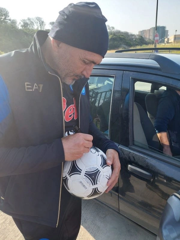 cover image of the auction item