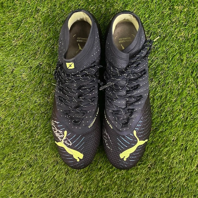 cover image of the auction item