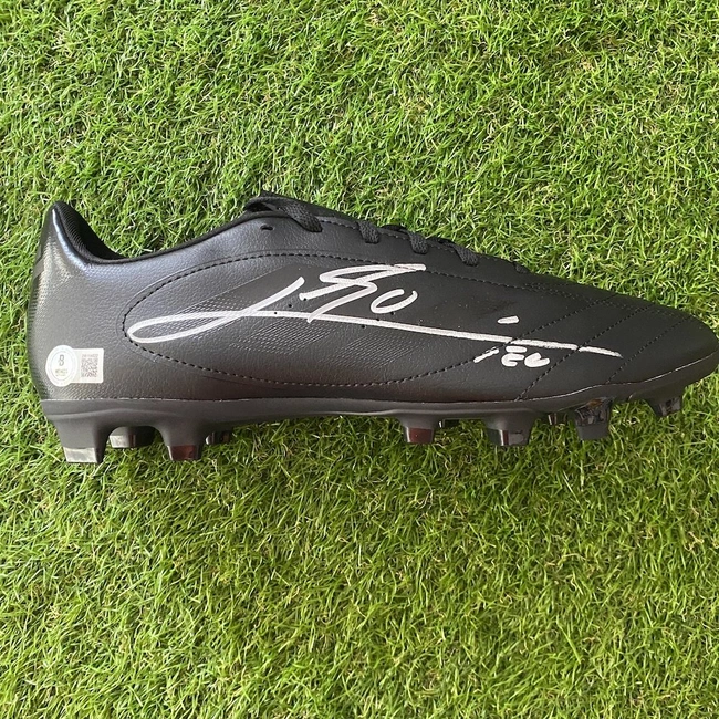 cover image of the auction item