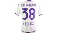 cover image of the auction item