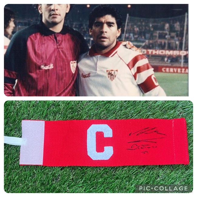 cover image of the auction item