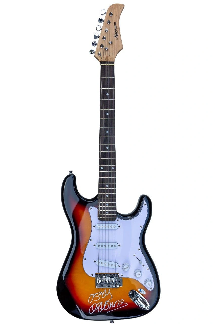 cover image of the auction item