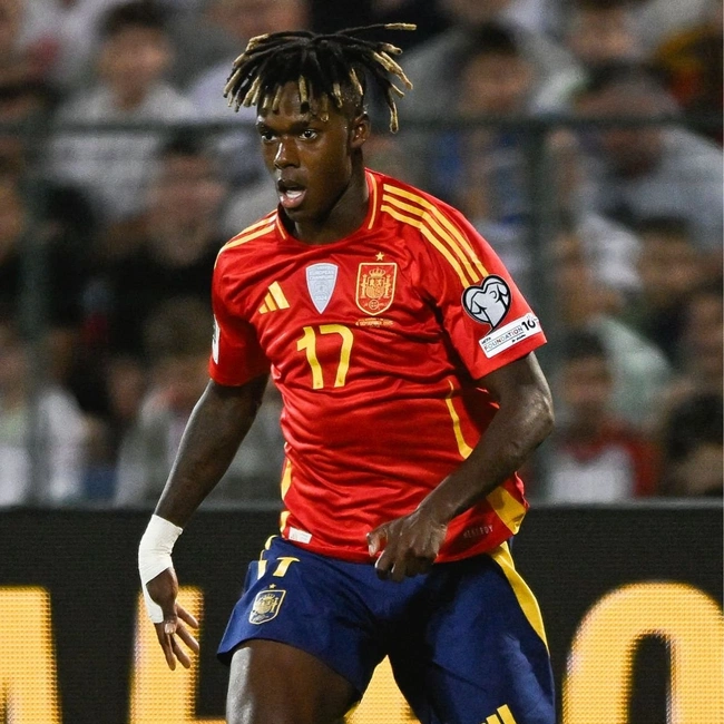 cover of the auction item