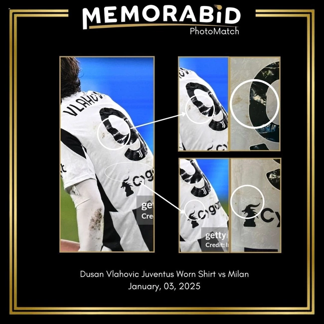 cover image of the auction item