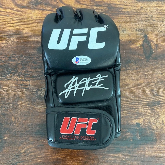 cover image of the auction item