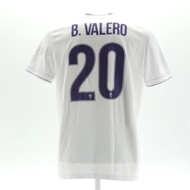 cover of the auction item