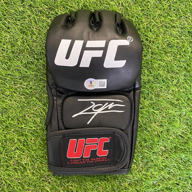 cover image of the auction item