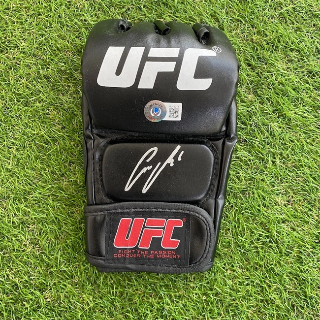 cover image of the auction item