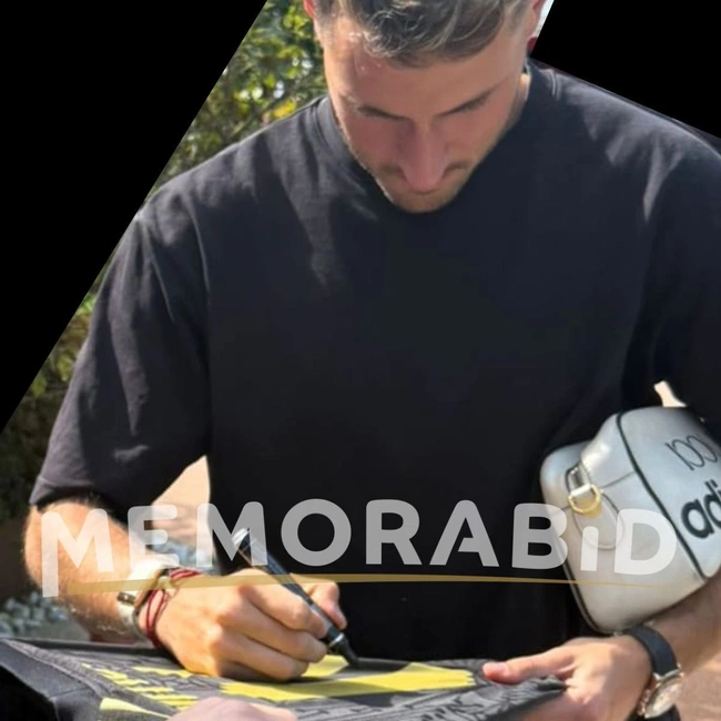 cover image of the auction item