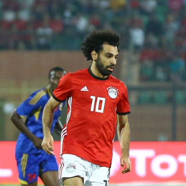 cover image of the auction item