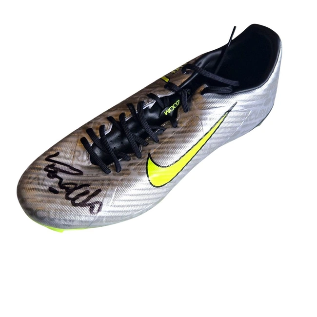 cover image of the auction item