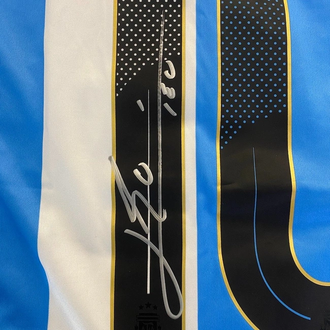 cover of the auction item