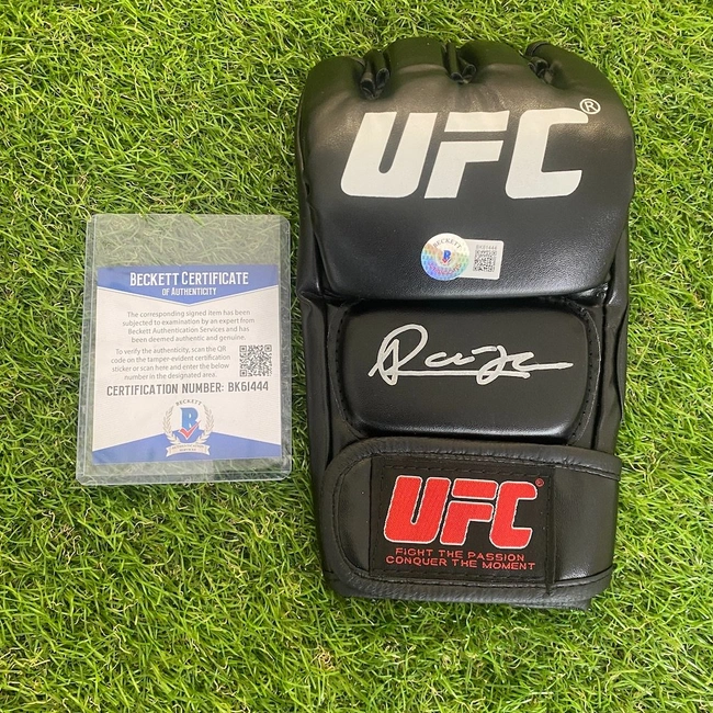 cover image of the auction item