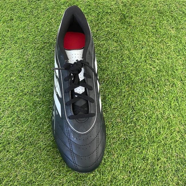 cover image of the auction item