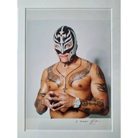cover image of the auction item