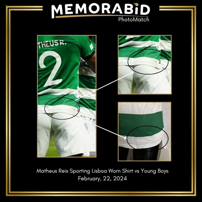 cover image of the auction item