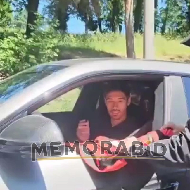 cover image of the auction item