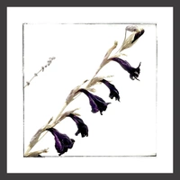 cover image of the auction item