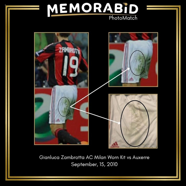 cover image of the auction item