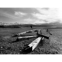 cover image of the auction item