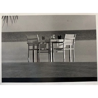cover image of the auction item