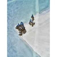cover image of the auction item