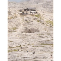 cover image of the auction item