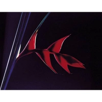 cover image of the auction item