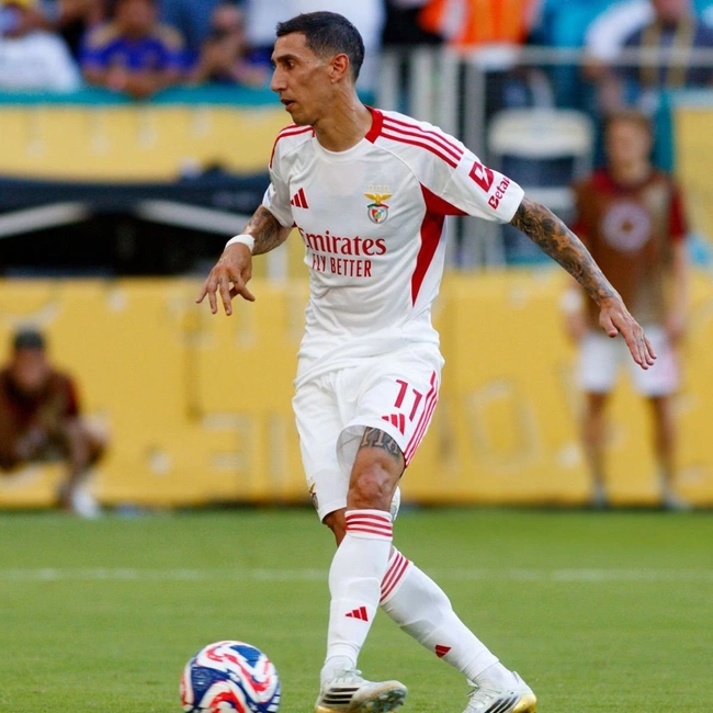 cover image of the auction item