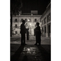 cover image of the auction item