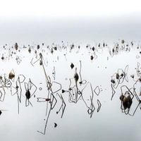 cover image of the auction item