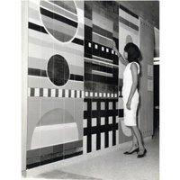 cover image of the auction item