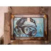cover image of the auction item